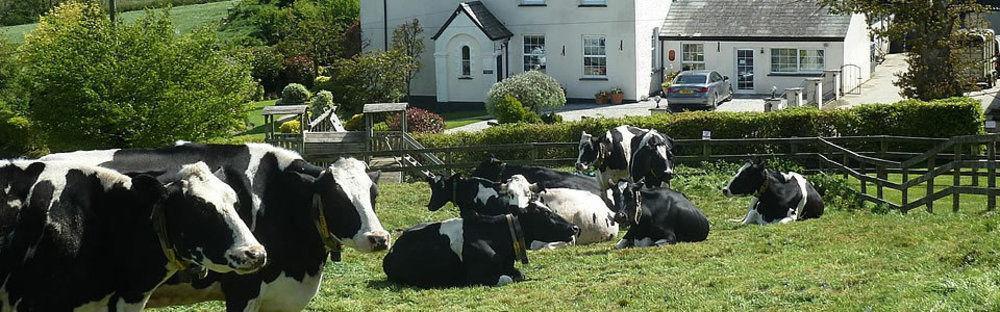 Wheatley Farm Bed and Breakfast Launceston Exterior foto